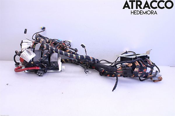 arbre de câblage complet FERRARI F430 Spider