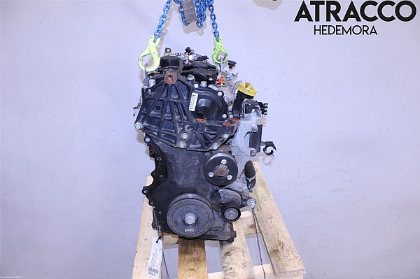 Motor NISSAN QASHQAI / QASHQAI +2 I (J10, NJ10, JJ10E)
