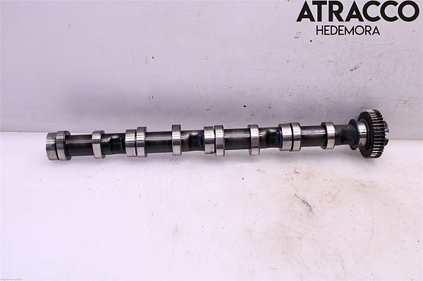Cam shaft AUDI A4 Avant (8K5, B8)