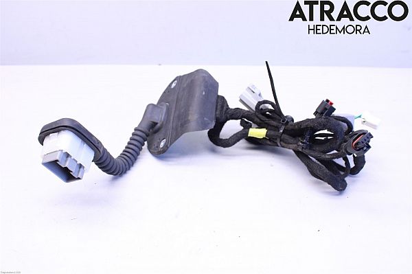 Wiązka przewodów – kompletna RAM 1500 Standard Cab Pickup (DS)