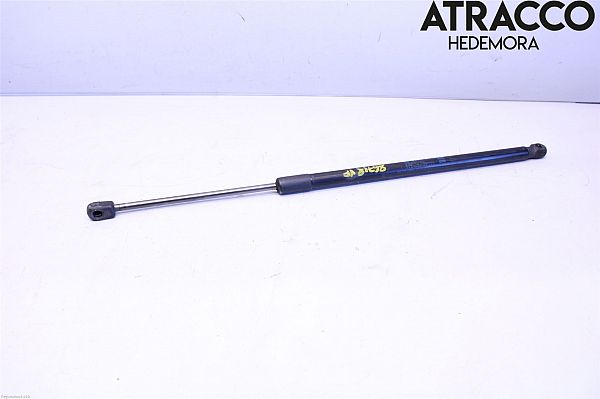 Tailgate strut