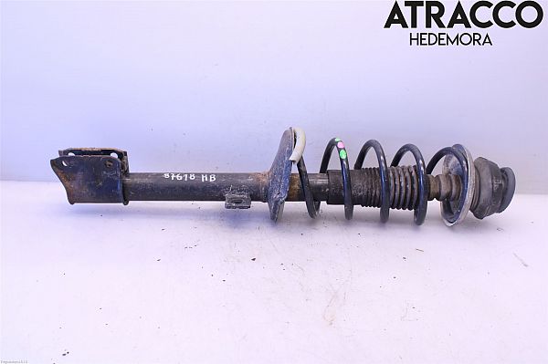 Federbein hinten DACIA DUSTER (HM_)