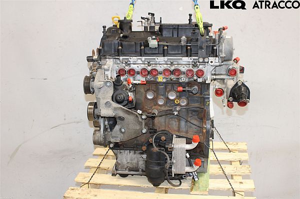 Moteur KIA SPORTAGE (SL)