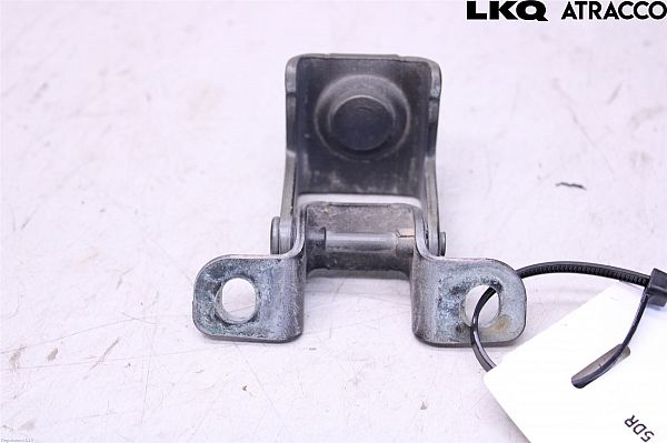 Bagklapshængsel DACIA DUSTER (HM_)