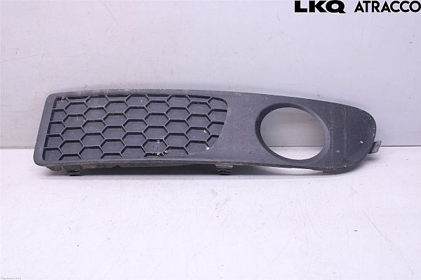 Front fog light grill