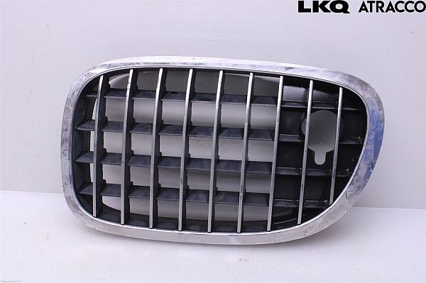 Kølergitter BMW 7 (F01, F02, F03, F04)