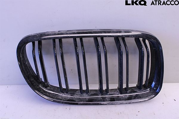 Kølergitter BMW 3 Touring (E91)