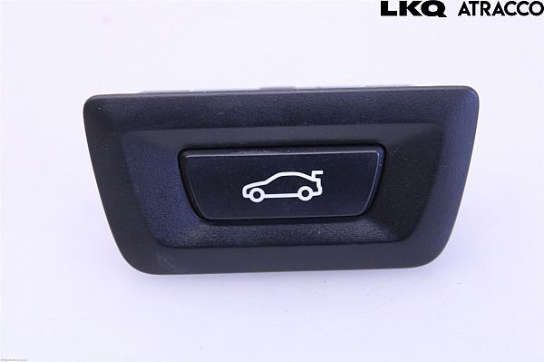 Tailgate/boot open switch button