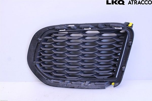 Kühlergrill JAGUAR E-PACE (X540)