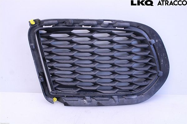 Kühlergrill JAGUAR E-PACE (X540)