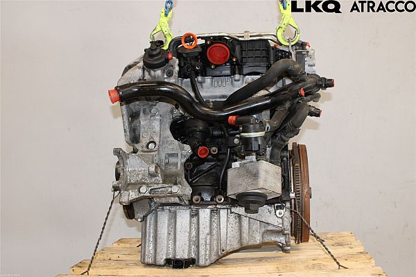 Motor AUDI A6 Avant (4F5, C6)