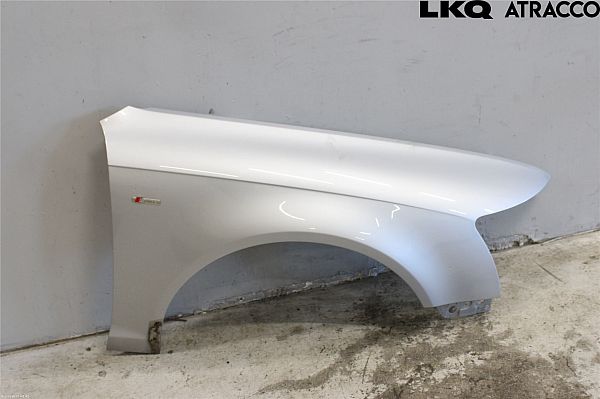 Błotnik przedni prawy AUDI A6 Avant (4F5, C6)