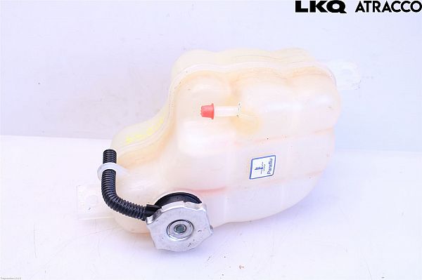 Ekspansionsbeholder FIAT FREEMONT (345_)