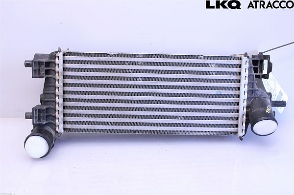 Ladeluftkühler FORD C-MAX II (DXA/CB7, DXA/CEU)