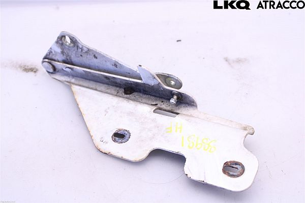 Hub hinges LINCOLN TOWN CAR III