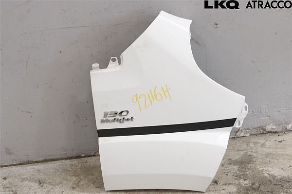 Błotnik przedni prawy FIAT DUCATO Platform/Chassis (250_, 290_)