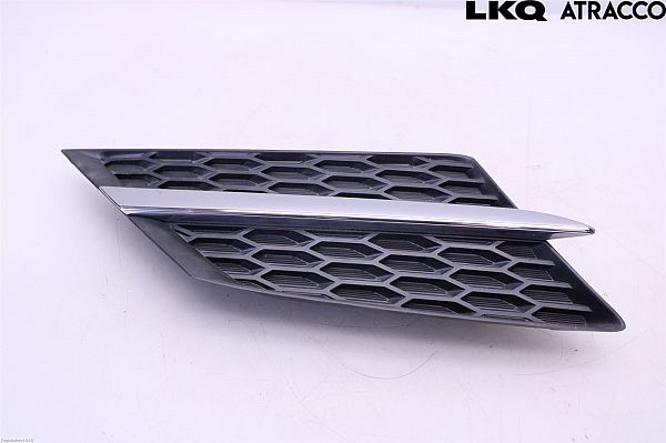 Grill TOYOTA RAV 4 IV (_A4_)
