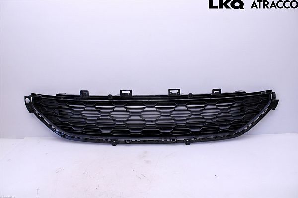 Kølergitter CITROËN C3 II (SC_)