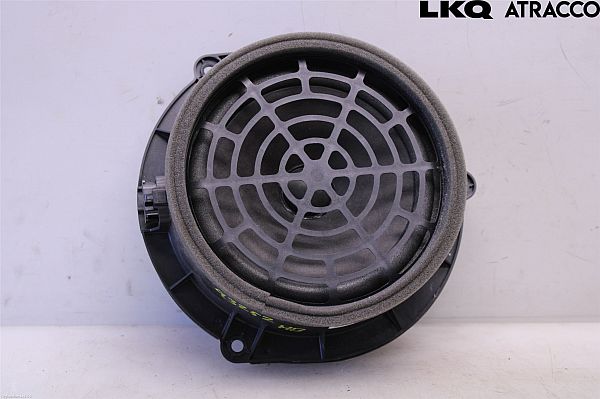 Rear door speaker