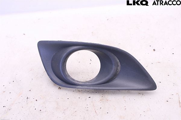 Front fog light grill