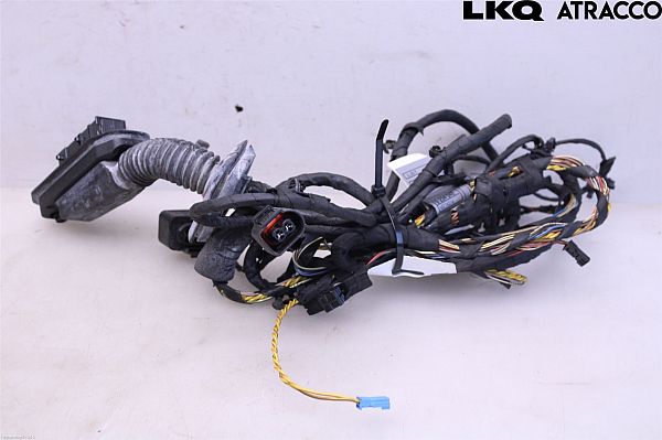 Rear door wiring loom