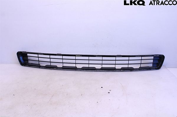 Grill TOYOTA RAV 4 III (_A3_)