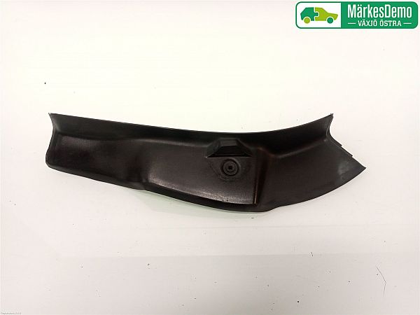 Rear light trim molding