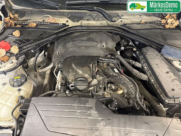 Motor BMW 3 (F30, F80)
