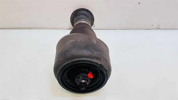 Luftfederbein / Pneumatisches Federbein BMW 5 Touring (F11)