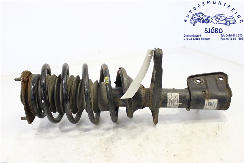 Federbein vorn LAND ROVER FREELANDER (L314)