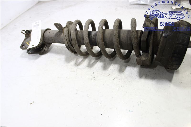 Federbein vorn NISSAN PRIMASTAR Box (X83)