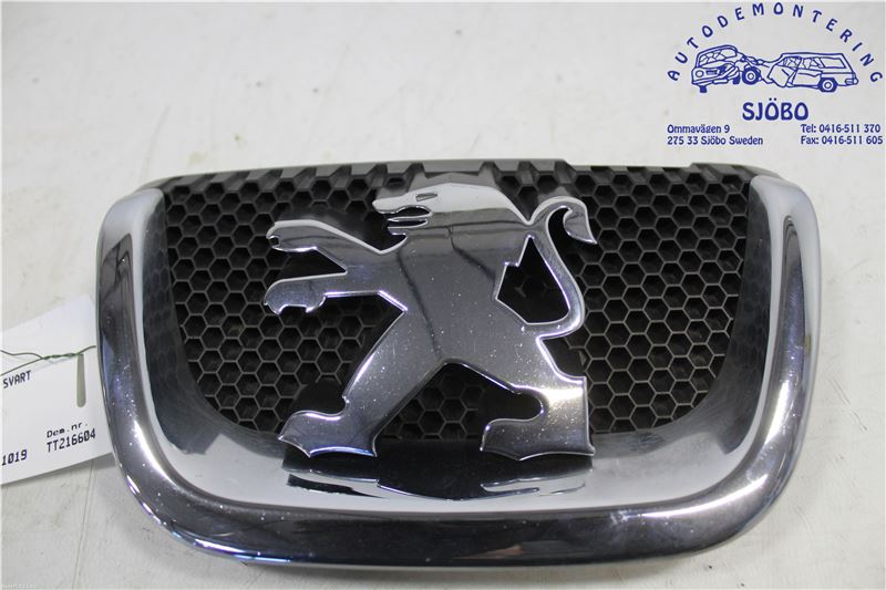 Grill PEUGEOT 407 (6D_)