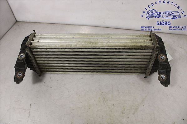 Ladeluftkühler FORD TRANSIT CONNECT (P65_, P70_, P80_)
