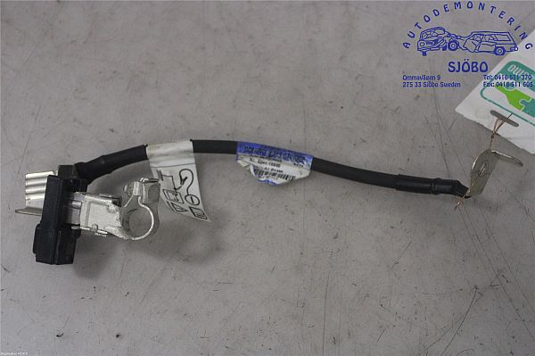 Battery cable NISSAN JUKE (F16_)