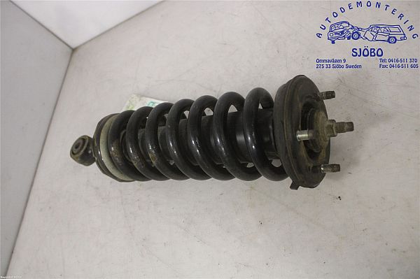 Federbein vorn NISSAN NAVARA NP300 (D40)