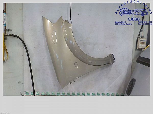 Front wing right CITROËN C3 I (FC_, FN_)