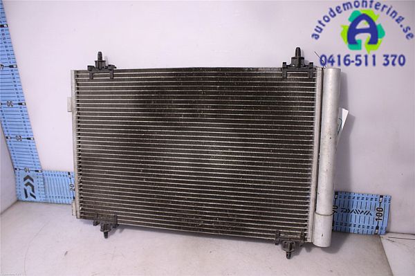 Heating element PEUGEOT 3008 MPV (0U_)