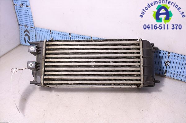 Heating element PEUGEOT 3008 MPV (0U_)