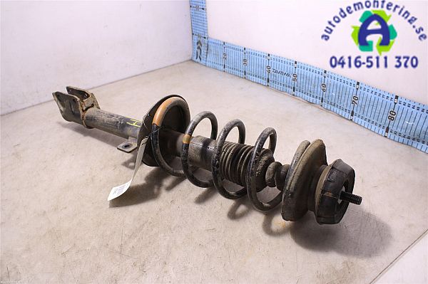 Federbein hinten DACIA DUSTER (HS_)