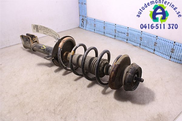 Federbein hinten DACIA DUSTER (HS_)