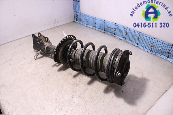 Federbein vorn NISSAN NV250 Box (X61)