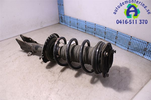 Federbein vorn NISSAN NV250 Box (X61)