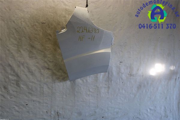 Błotnik przedni prawy FIAT DUCATO Platform/Chassis (250_, 290_)