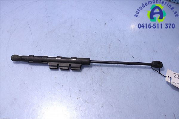 Dämpfer Motorhaube BMW X6 (E71, E72)