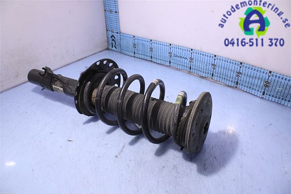Federbein vorn LAND ROVER DISCOVERY SPORT (L550)