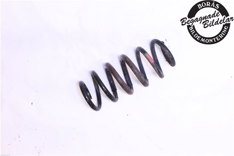 Rear spring - coil TOYOTA RAV 4 III (_A3_)