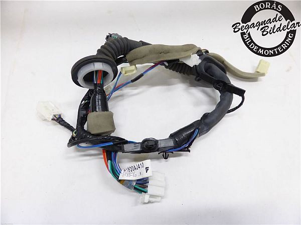 Wire network - complete SUBARU OUTBACK (BR)