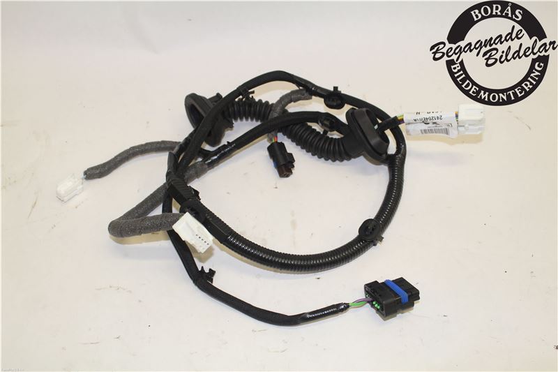 Rear door wiring loom