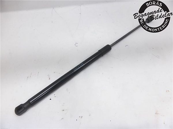 Tailgate gas strut CITROËN C4 II (NC_)