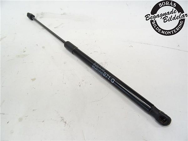 Tailgate gas strut CITROËN C4 II (NC_)